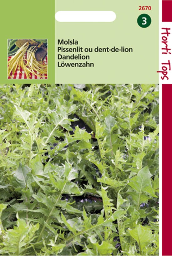 Dandelion (Taraxacum dens leonis) 750 seeds